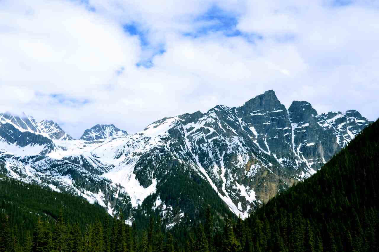 Snowy mountain peaks and dense green forest near Golden, British Columbia
