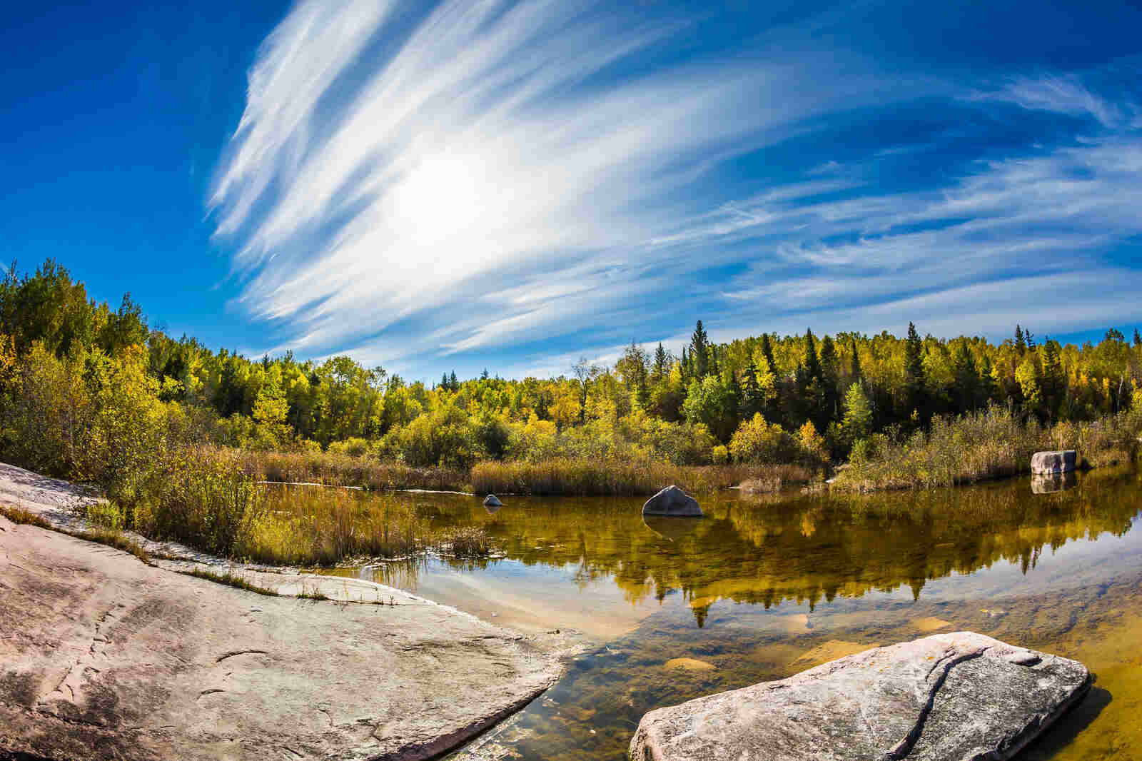 A bright sunny day in Old Pinawa Dam Park, with the Winnipeg River in the foreground.